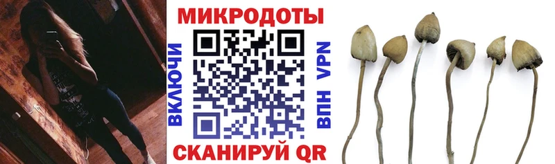 Псилоцибиновые грибы GOLDEN TEACHER  Североморск 