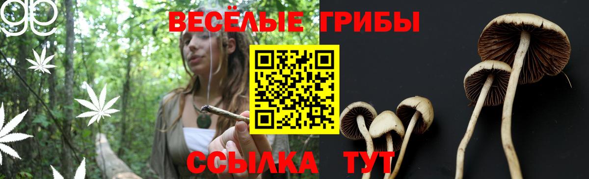 Галлюциногенные грибы ЛСД  Вход с VPN  Североморск 